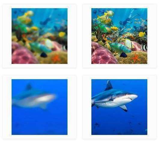 Actualité optique opticien : Lunettes de piscine à la vue