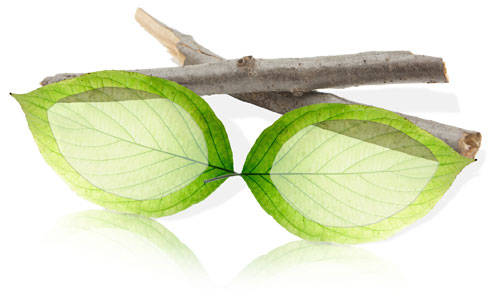 Actualité optique opticien : BIO ACETATE