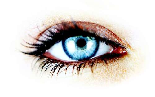 Opticien : OPTIQUE PEYRONNETTE, 25 AVENUE DE VILLEMUR, 31140 SAINT ALBAN
