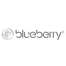 logo : BLUEBERRY