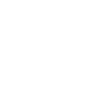 logo : LIU JO