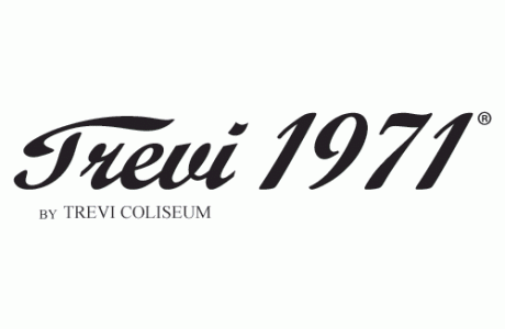 logo : TREVI 1971
