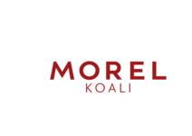 Lunette de la marque KOALI visible chez BRESS' OPTIQUE