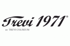 logo : TREVI 1971