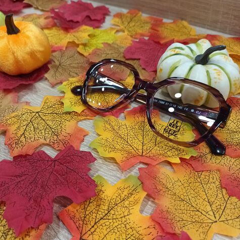 Image actualité Automne