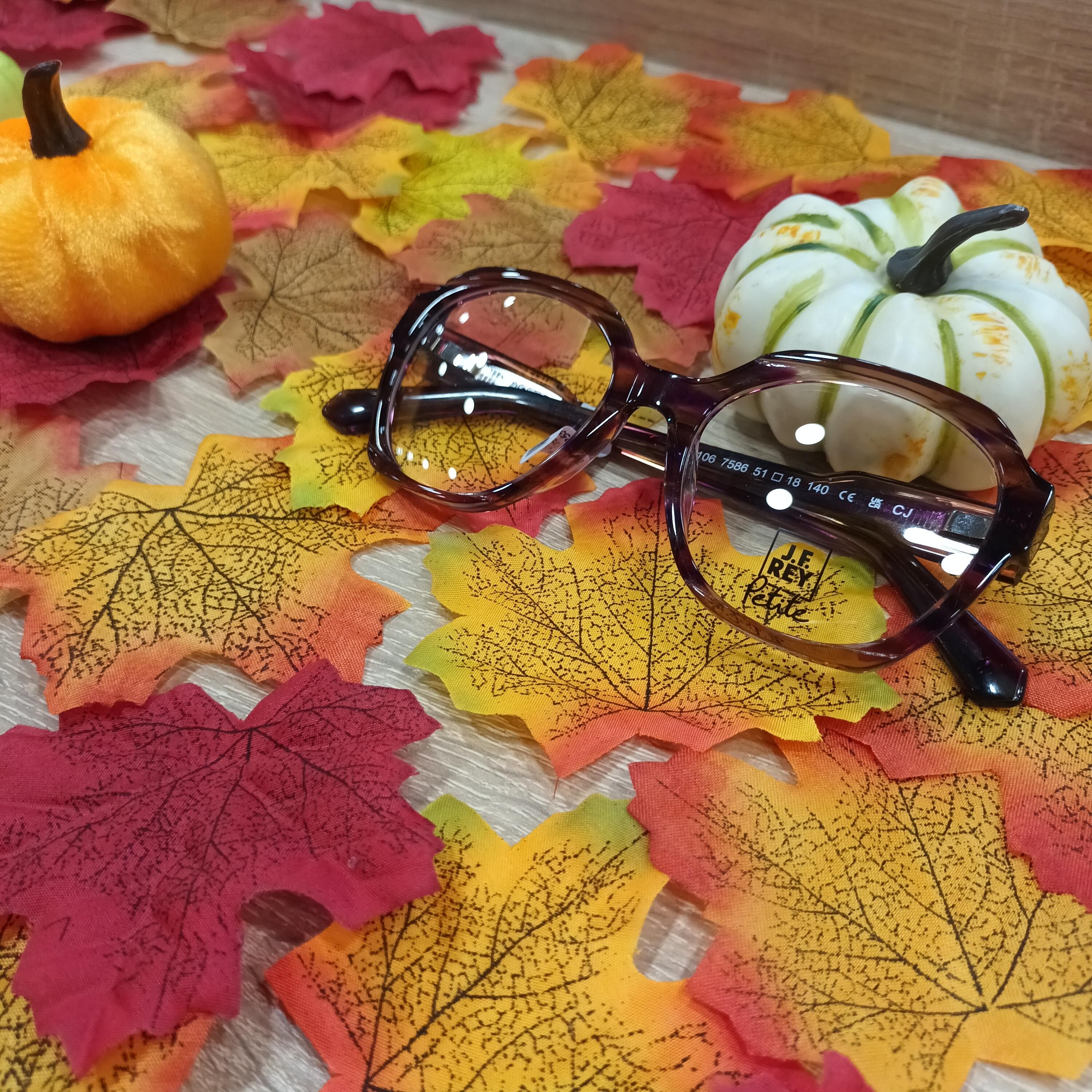 Image de l'actualité Automne