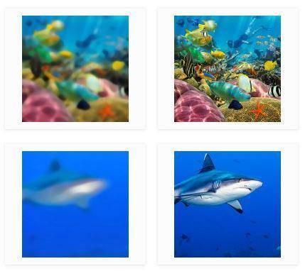 Image de l'actualité Lunettes de piscine à la vue