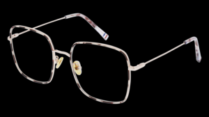 Lunettes femme vue  de la marque LES FRENCHIES : DAPHNEE 48