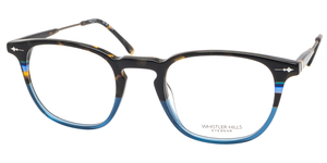 Lunettes homme vue  de la marque WHISTLER HILLS : SPRUCE 04