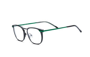 Lunettes homme vue  de la marque PRODESIGN : FORCE