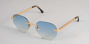 Lunettes mixte solaire  de la marque IRON PARIS : JAROD