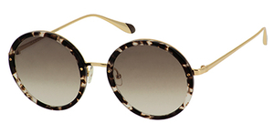 Lunettes femme solaire  de la marque CARVEN : CC4042S