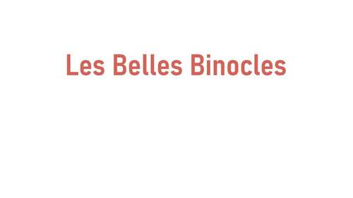 Magasin opticien indépendant LES BELLES BINOCLES 64360 MONEIN
