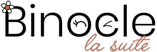 Magasin opticien indépendant BINOCLE LA SUITE 05000 GAP