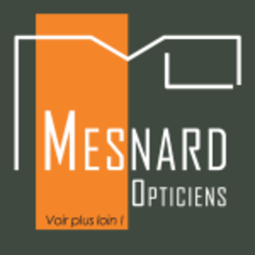 Magasin opticien indépendant MESNARD OPTICIENS 37800 SAINTE MAURE DE TOURAINE