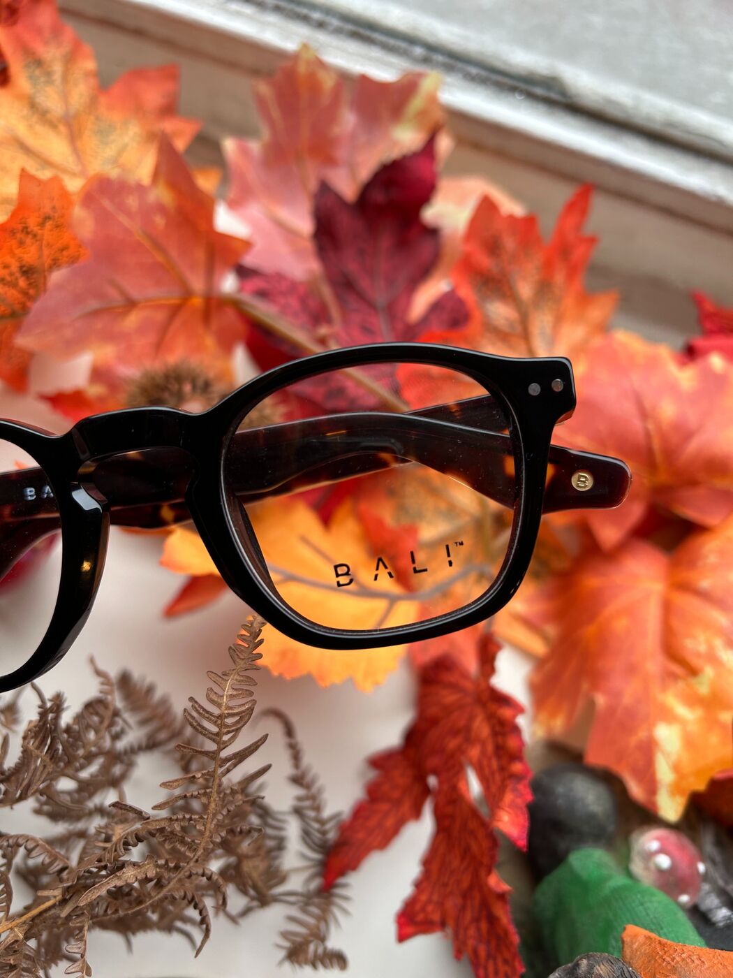 Image principale de l'opticien OPTIQUE DES ALPINS