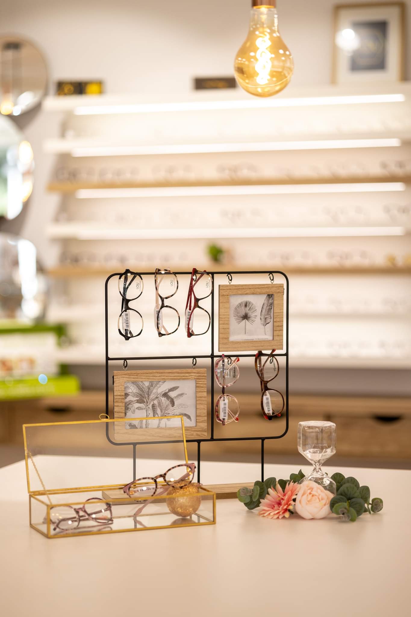 Image principale de l'opticien LES JOLIES LUNETTES GREASQUE
