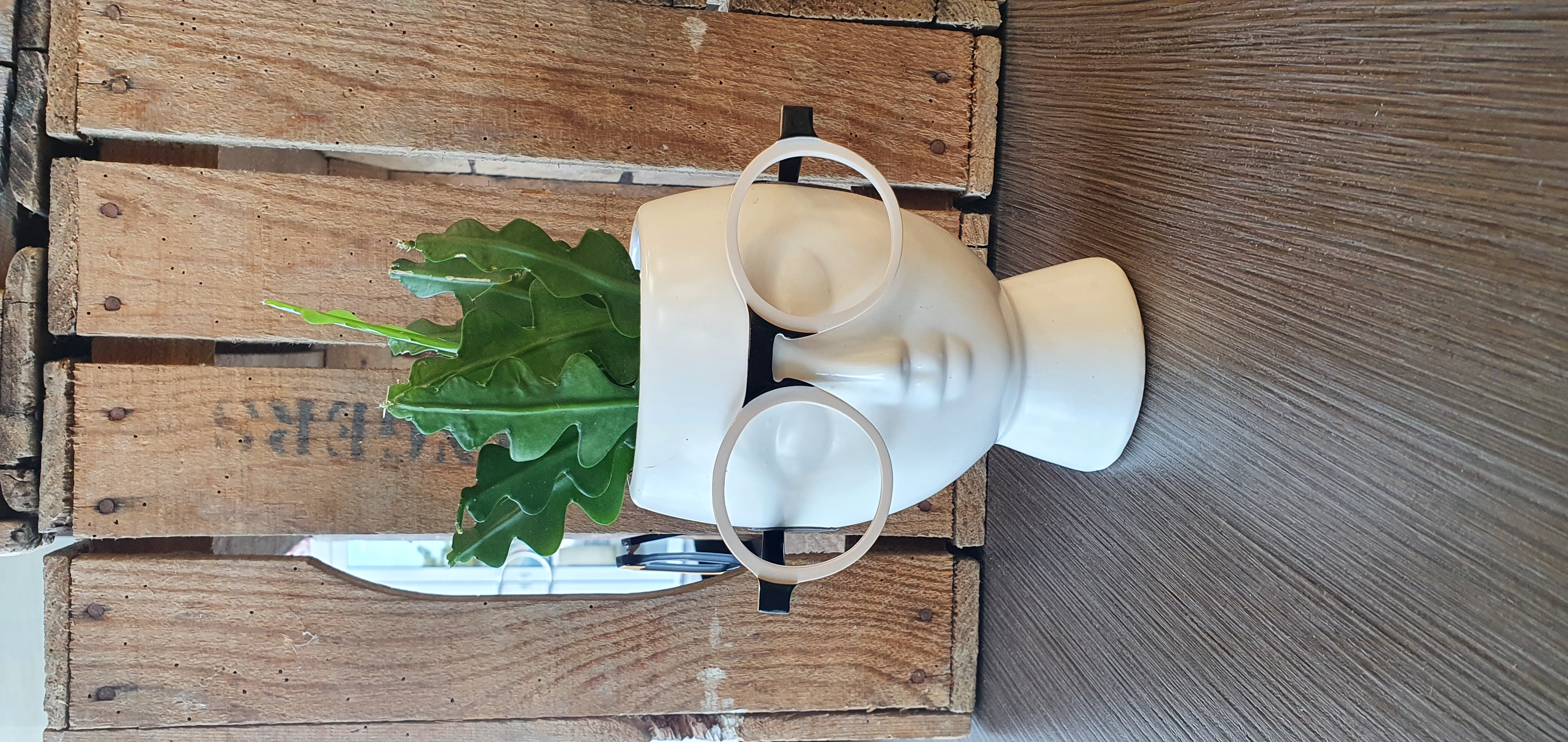 Image principale de l'opticien ENTRE VOIR