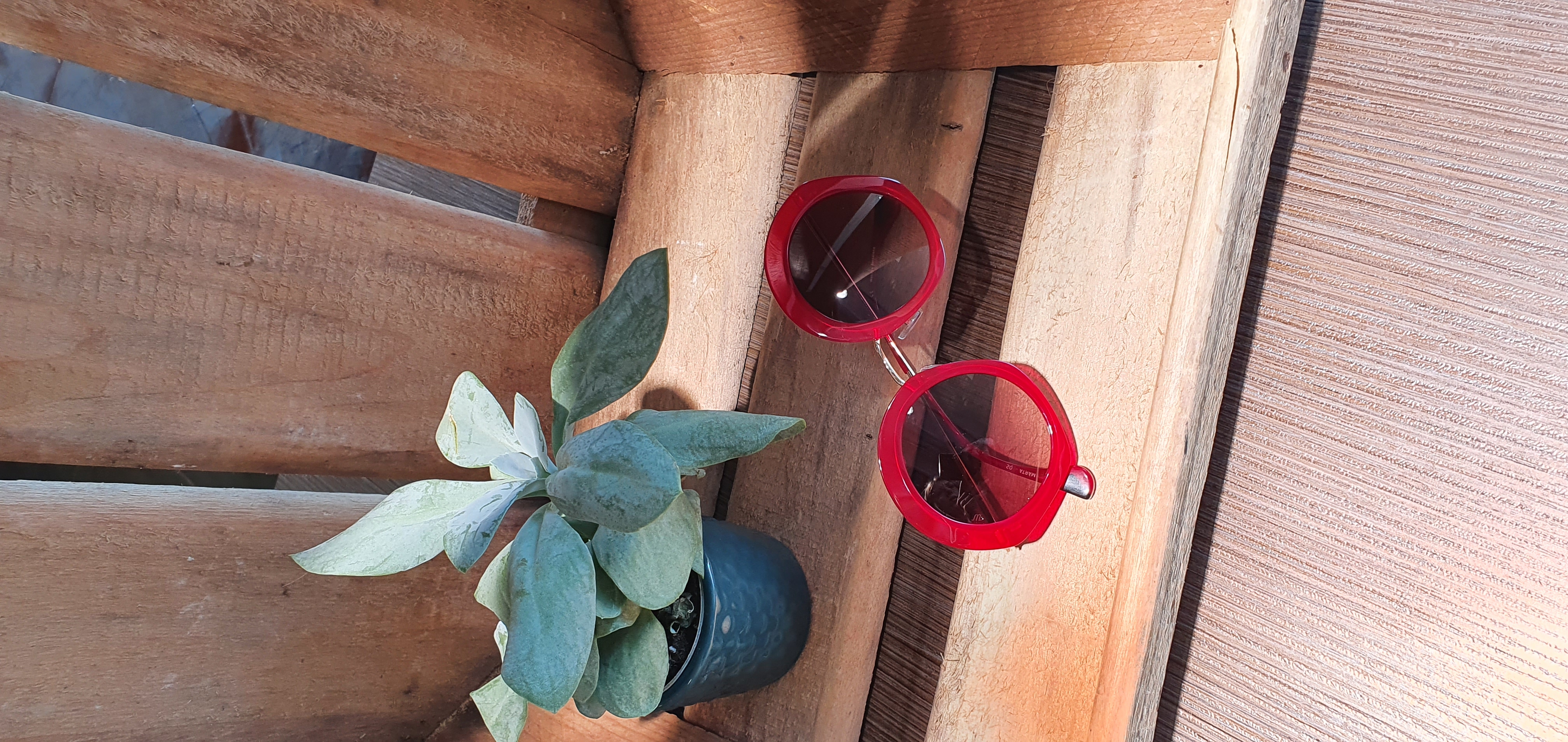 Image principale de l'opticien ENTRE VOIR