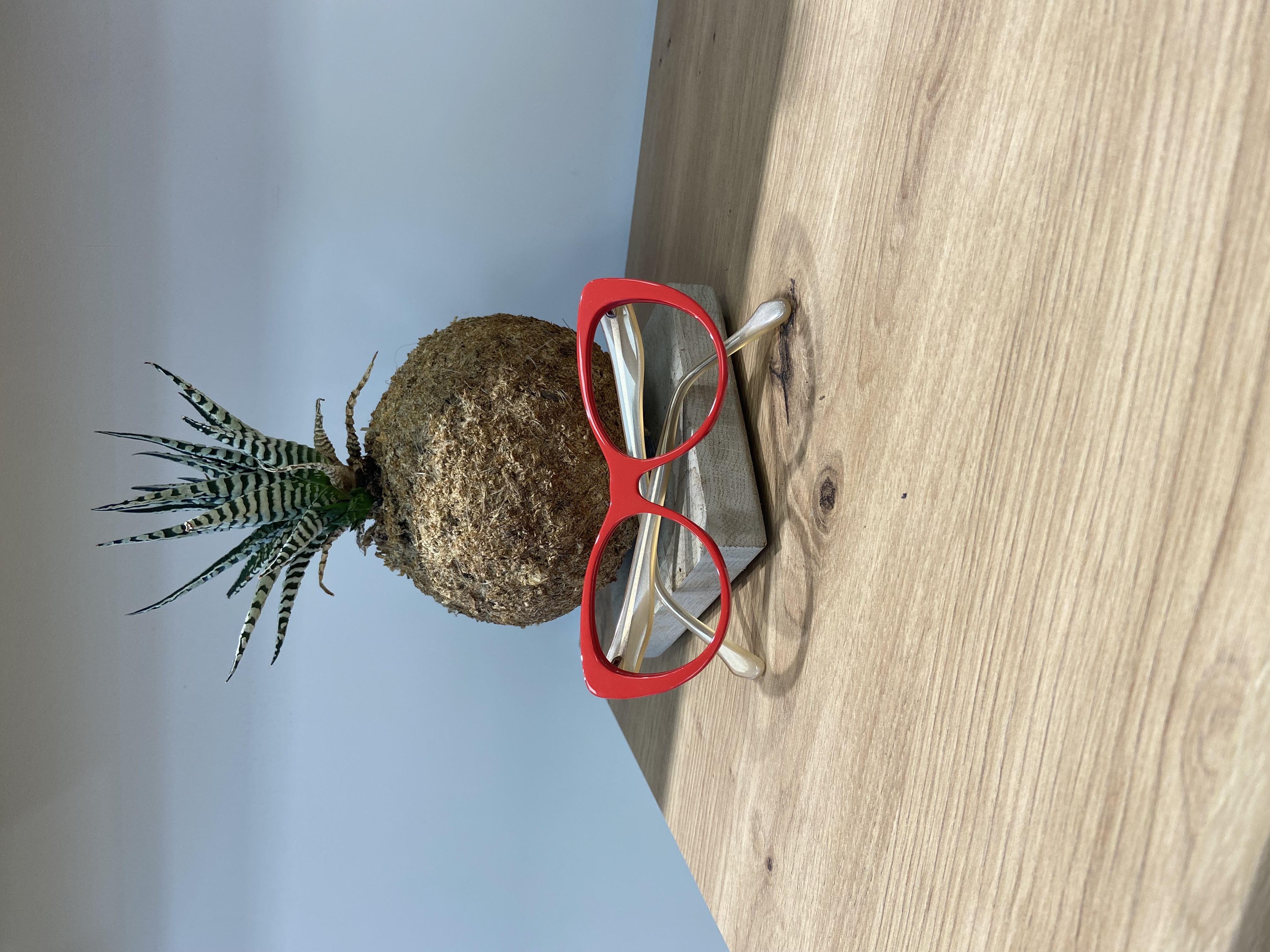 Image principale de l'opticien ENTRE VOIR