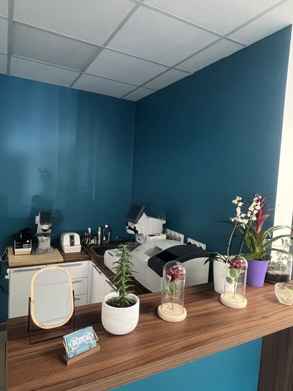 Image principale de l'opticien BRANCHE-LES SPECIALISTES LUNETIERS